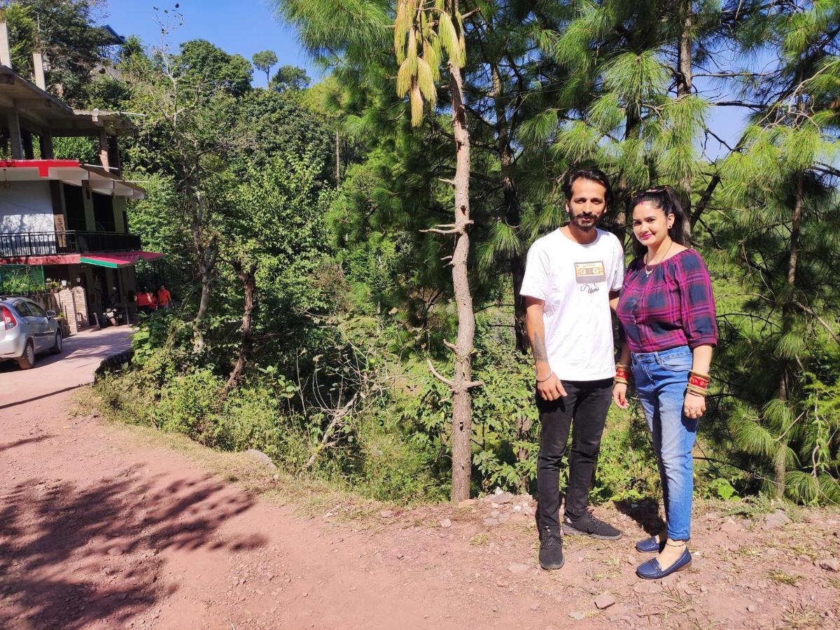 The Asgard Kasauli Bed & Breakfast Ngoại thất bức ảnh