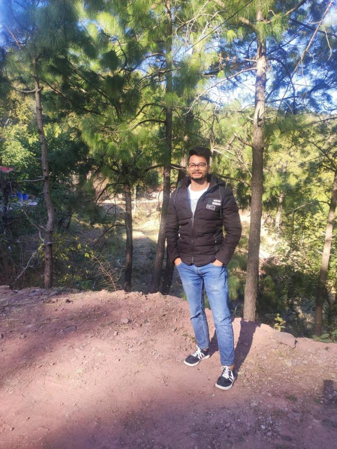 The Asgard Kasauli Bed & Breakfast Ngoại thất bức ảnh