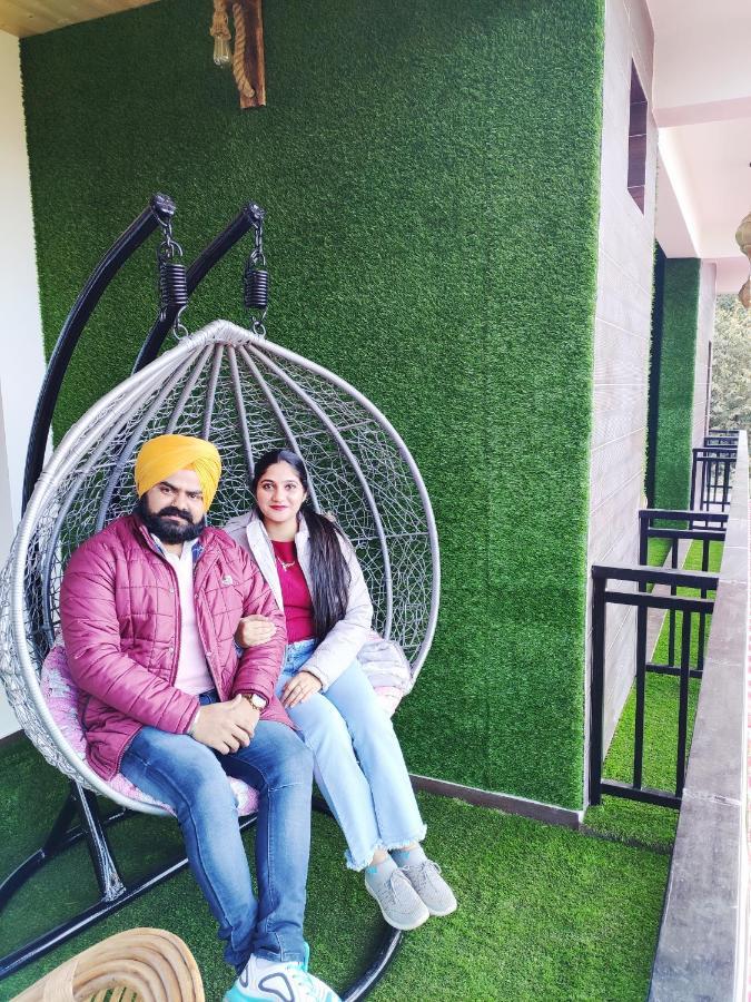 The Asgard Kasauli Bed & Breakfast Ngoại thất bức ảnh